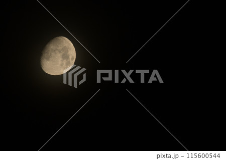 月齢11.4、卯月四月朧月 115600544