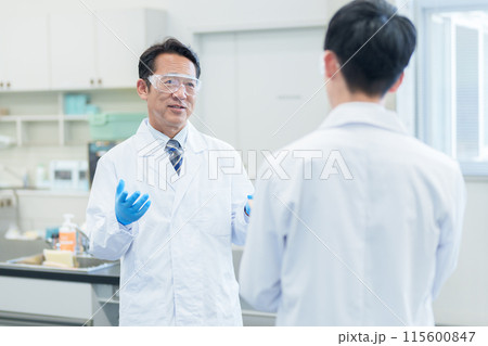 研究室で話をする科学者 研究室で話をする科学者 115600847
