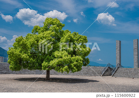 浜大津の公園風景　滋賀県大津市 115600922