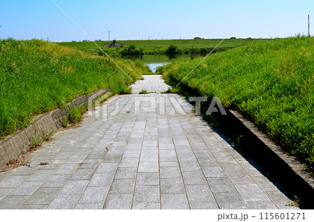 関宿城渡船場に向かって真っ直ぐ一直線に伸びる石畳の道 115601271