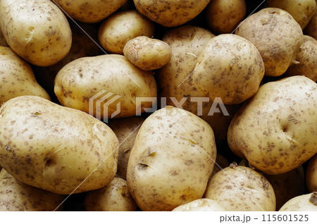 無農薬でで育てたジャガイモ 115601525