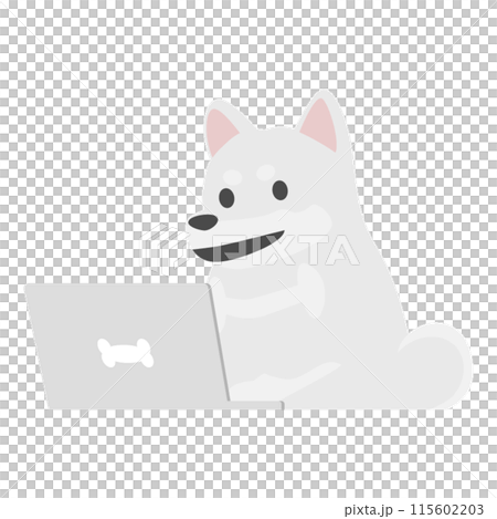 柴犬使用電腦 3 115602203