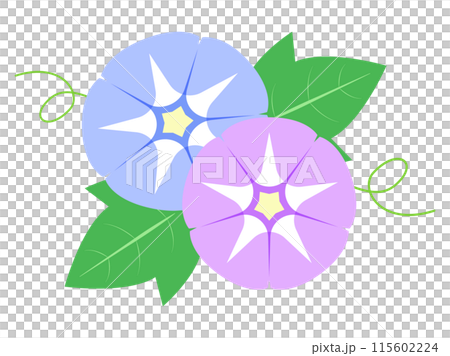 朝顔のフラットイラスト 朝顔のフラットイラスト 115602224