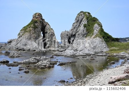佐渡島　七浦海岸　夫婦岩 115602406