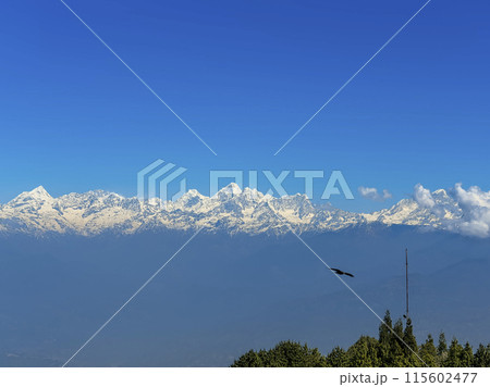 ネパール・ナガルコットから眺めるヒマラヤの峰々 Himalayas from Nagarkot ネパール・ナガルコットから眺めるヒマラヤの峰々 Himalayas from Nagarkot 115602477