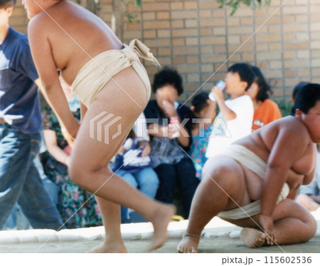 平成i892e 115602536