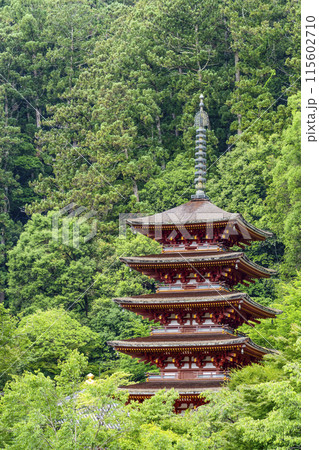 6月の長谷寺(奈良県)本堂外舞台から望む五重塔 6月の長谷寺(奈良県)本堂外舞台から望む五重塔 115602710