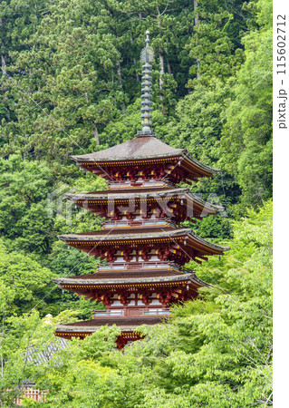 6月の長谷寺（奈良県）本堂外舞台から望む五重塔 115602712