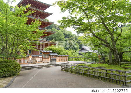 6月の長谷寺(奈良県) 五重塔 6月の長谷寺(奈良県) 五重塔 115602775