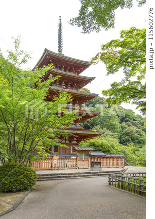 6月の長谷寺(奈良県) 五重塔 6月の長谷寺(奈良県) 五重塔 115602776