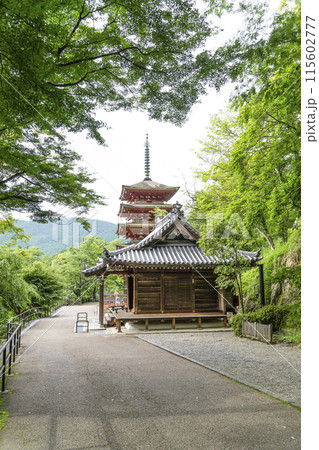 6月の長谷寺(奈良県) 五重塔 6月の長谷寺(奈良県) 五重塔 115602777