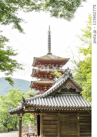 6月の長谷寺（奈良県）　五重塔 115602778