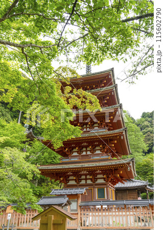 6月の長谷寺(奈良県) 五重塔 6月の長谷寺(奈良県) 五重塔 115602790