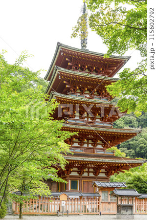 6月の長谷寺(奈良県) 五重塔 6月の長谷寺(奈良県) 五重塔 115602792