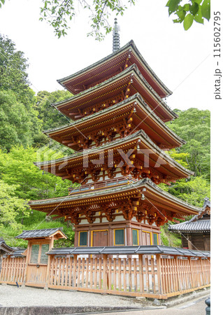 6月の長谷寺（奈良県）　五重塔 115602795
