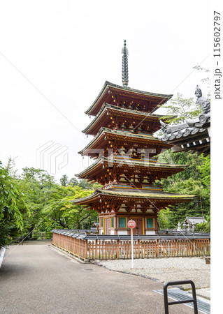6月の長谷寺（奈良県）　五重塔 115602797