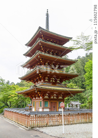 6月の長谷寺(奈良県) 五重塔 6月の長谷寺(奈良県) 五重塔 115602798