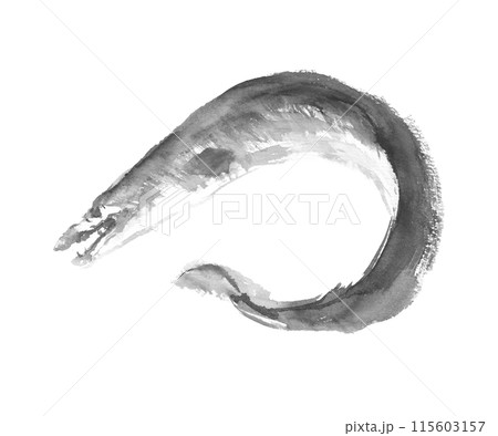 水彩で描いた鱧のイラスト 115603157