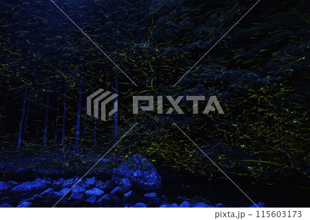 蛍舞う夜 115603173