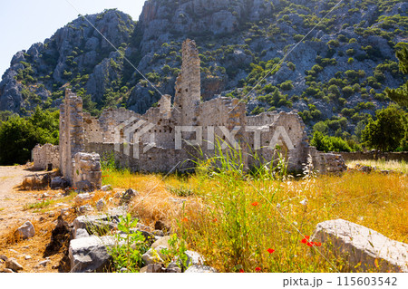 Landscape of the ancient city of Olympos. With remaining ruins of walls. Turkey 115603542