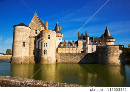Great Chateau de Sully-sur-Loire Great Chateau de Sully-sur-Loire 115603552