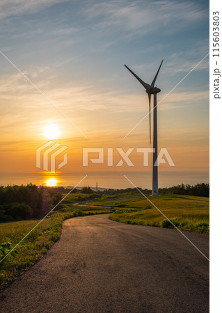 仁賀保高原（夕景） 115603803