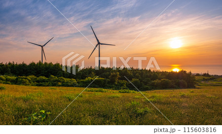 仁賀保高原（夕景） 115603816