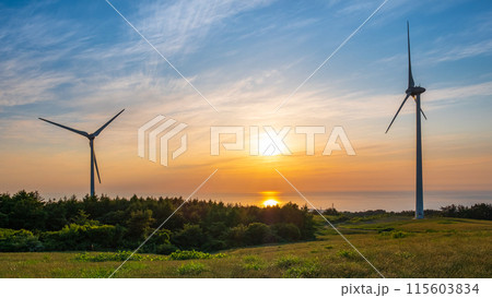 仁賀保高原（夕景） 115603834