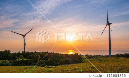 仁賀保高原（夕景） 115603836