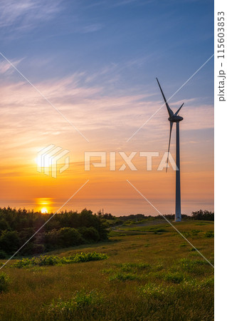 仁賀保高原（夕景） 115603853