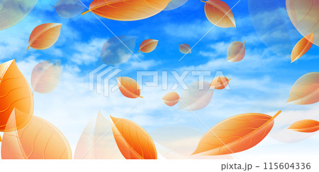 紅葉　葉　秋　背景	 115604336