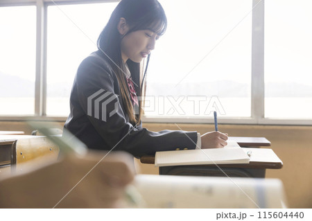 教室で授業を受ける女子高生 115604440