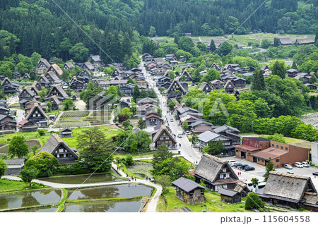 岐阜県 白川郷合掌造り集落 城跡展望台からの風景 世界遺産 岐阜県 白川郷合掌造り集落 城跡展望台からの風景 世界遺産 115604558
