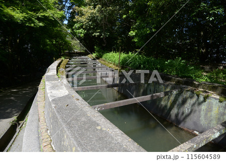 南禅寺水路閣　京都市左京区 115604589