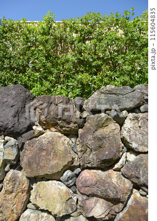 石垣と垣根 115604835