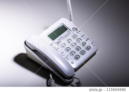 固定電話 Fixed-line phone 固定電話 Fixed-line phone 115604890