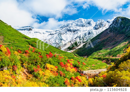 冠雪した十勝岳と麓に広がる紅葉 ~十勝岳温泉郷凌雲閣から~ 冠雪した十勝岳と麓に広がる紅葉 ~十勝岳温泉郷凌雲閣から~ 115604928