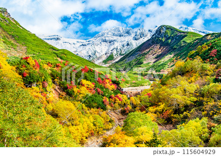 冠雪した十勝岳と麓に広がる紅葉 ~十勝岳温泉郷凌雲閣から~ 冠雪した十勝岳と麓に広がる紅葉 ~十勝岳温泉郷凌雲閣から~ 115604929