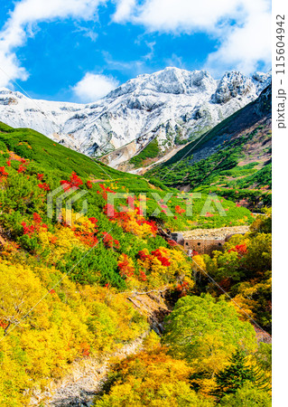 冠雪した十勝岳と麓に広がる紅葉　～十勝岳温泉郷凌雲閣から～ 115604942