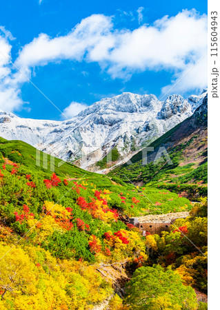 冠雪した十勝岳と麓に広がる紅葉　～十勝岳温泉郷凌雲閣から～ 115604943