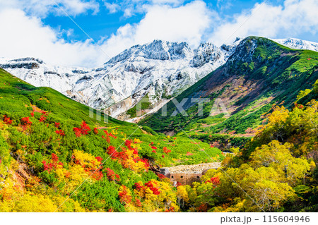 冠雪した十勝岳と麓に広がる紅葉 ~十勝岳温泉郷凌雲閣から~ 冠雪した十勝岳と麓に広がる紅葉 ~十勝岳温泉郷凌雲閣から~ 115604946