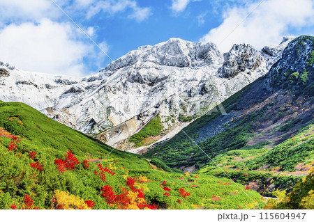 冠雪した十勝岳と麓に広がる紅葉 ~十勝岳温泉郷凌雲閣から~ 冠雪した十勝岳と麓に広がる紅葉 ~十勝岳温泉郷凌雲閣から~ 115604947