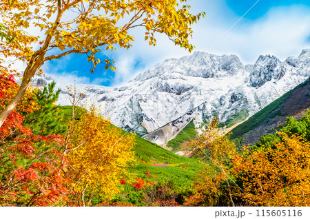 冠雪した十勝岳と麓に広がる紅葉 115605116