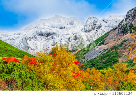 冠雪した十勝岳と麓に広がる紅葉 115605124