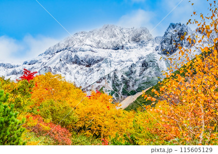 冠雪した十勝岳と麓に広がる紅葉 冠雪した十勝岳と麓に広がる紅葉 115605129