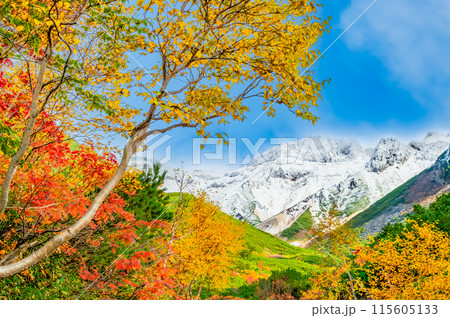 冠雪した十勝岳と麓に広がる紅葉 冠雪した十勝岳と麓に広がる紅葉 115605133