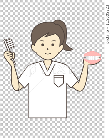 一位女牙醫用牙齒模型和牙刷解釋刷牙 115605223