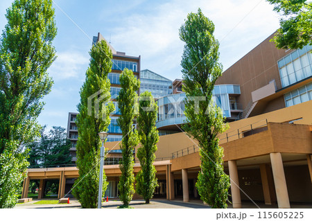 東京外国語大学　林の中の府中キャンパス 115605225