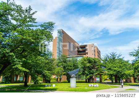 東京外国語大学 林の中の府中キャンパス 東京外国語大学 林の中の府中キャンパス 115605227