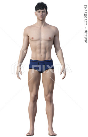 体脂肪率12% 痩せた体型の男性のイラスト 日本人3Dモデルの全身正面 体脂肪率12% 痩せた体型の男性のイラスト 日本人3Dモデルの全身正面 115605243